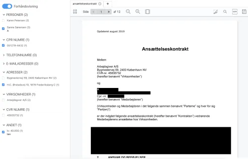 forhåndsvisning af anonymiseret dokument